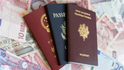 What Kind of Documents Need to Be Translated?